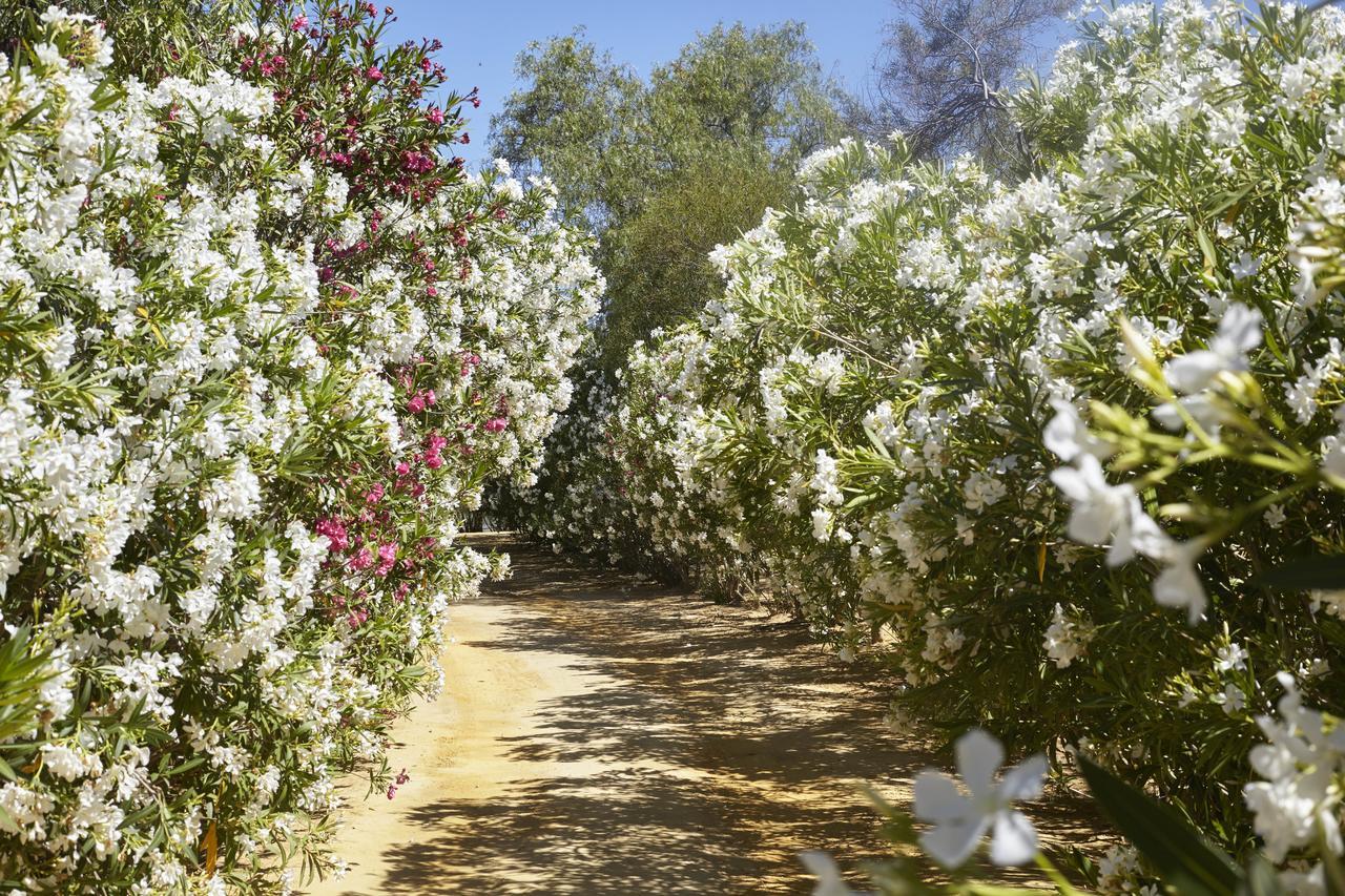 Hacienda De San Rafael Ξενοδοχείο Las Cabezas de San Juan Εξωτερικό φωτογραφία