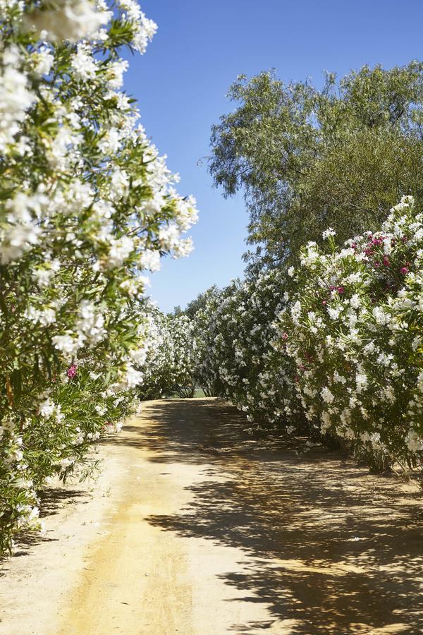 Hacienda De San Rafael Ξενοδοχείο Las Cabezas de San Juan Εξωτερικό φωτογραφία