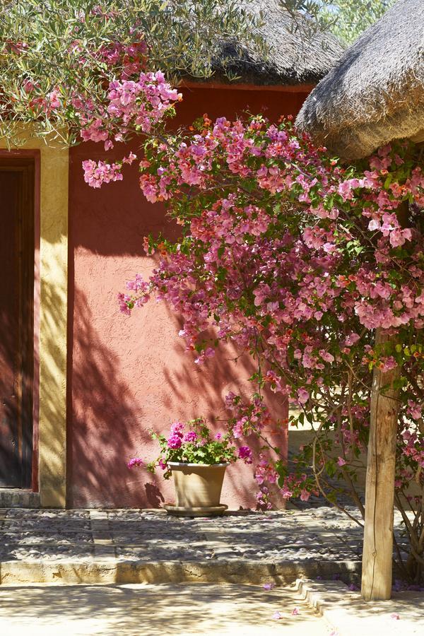 Hacienda De San Rafael Ξενοδοχείο Las Cabezas de San Juan Εξωτερικό φωτογραφία